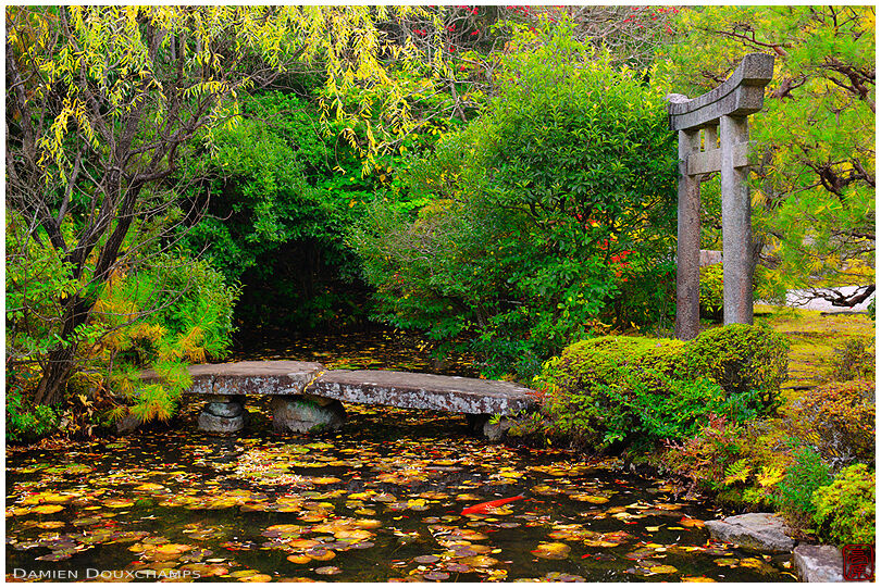Torii and stone bridge over pond in zen garden (Konchi-in金地院)