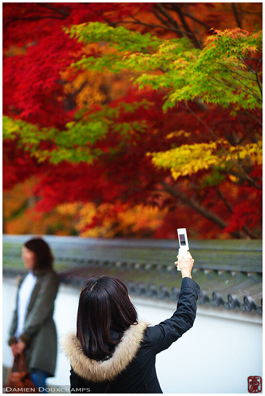 Keitai-photographer capturing the autumn colors in Eikan-do (永観堂)