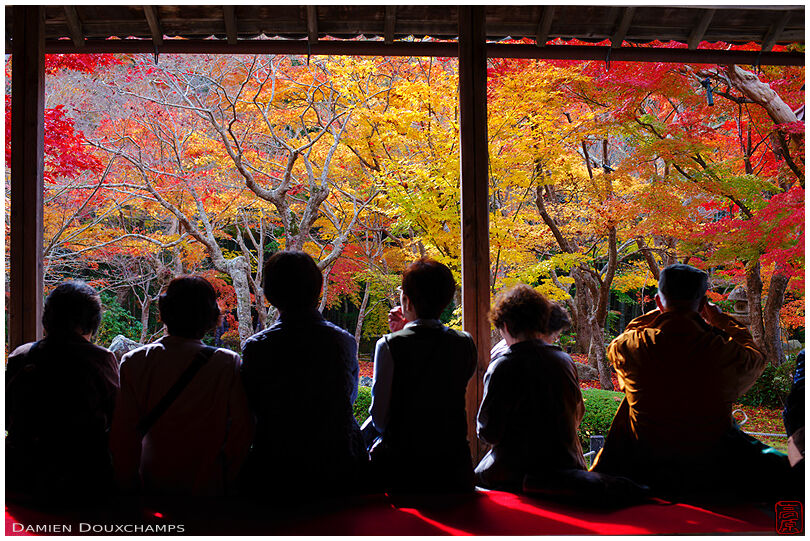 Watching autumn colors (Enkoji 園光寺)