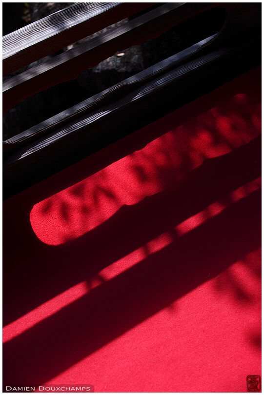 Shadows on red carpet (Manshuin Monzeki 曼殊院門跡)