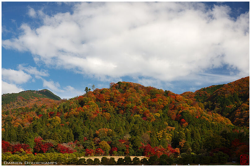 Autumn colors on Kyoto hills