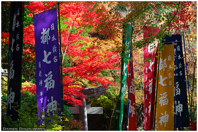 Colorful flags and autumn colors (Sekizanzenin 赤山禅院)