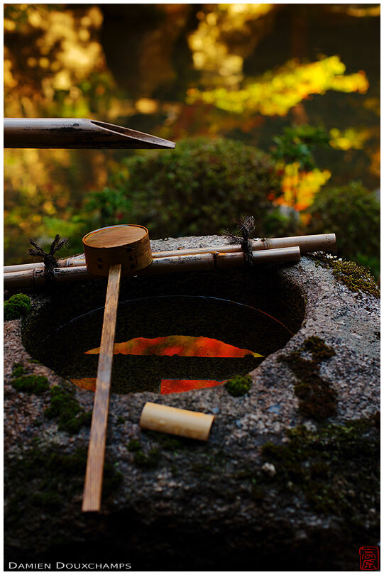 Water basin reflecting autumn colors (Renge-ji 蓮華寺)