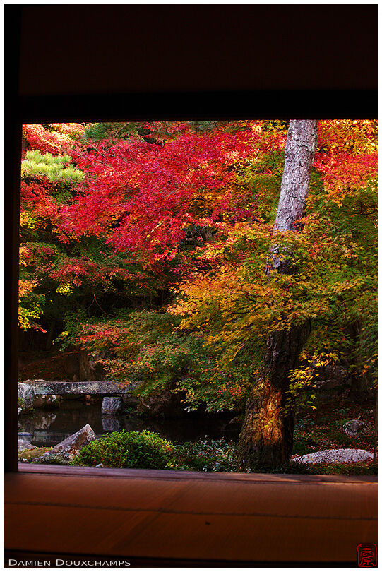 Meditation hall and garden in autumn (Renge-ji 蓮華寺)