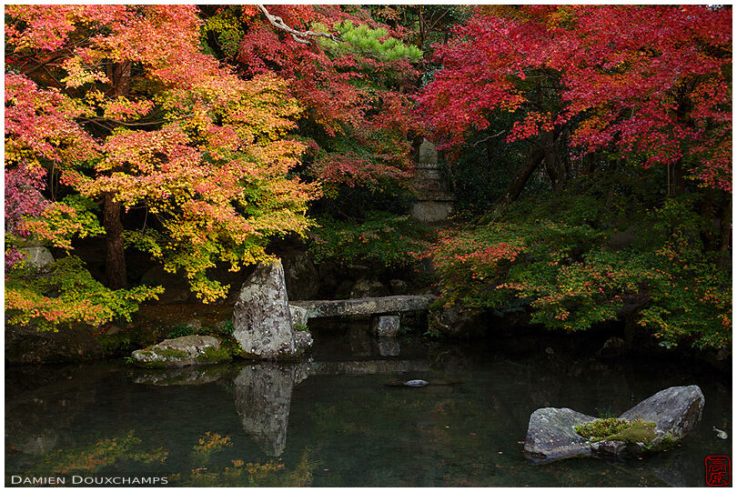 Pond in zen garden in autumn (Renge-ji 蓮華寺)