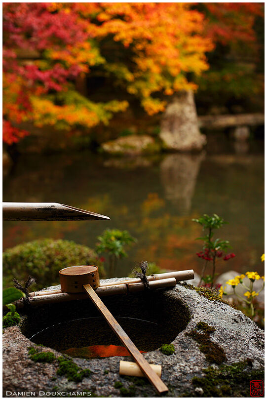 Water basin with bamboo ladle in autumn (Renge-ji 蓮華寺)
