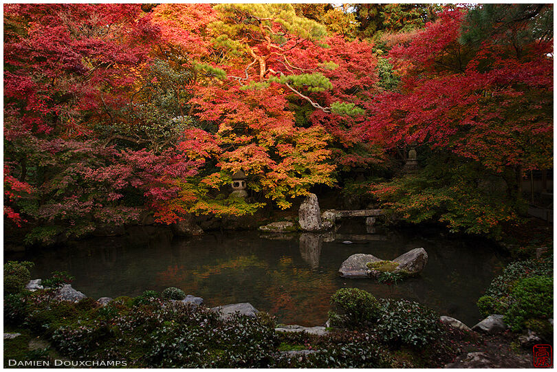 Pond in zen garden in autumn, version 2 (Renge-ji 蓮華寺)