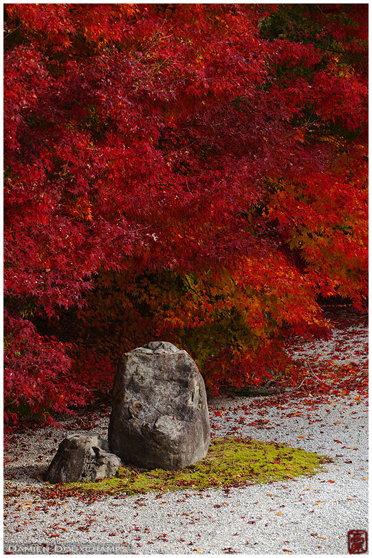 Dry landscape garden and red autumn foliage, Jisso-in temple, Kyoto, Japan