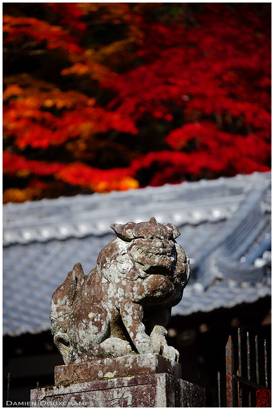 Mythical beast statue guarding a shrine (Iwakura-jinja 石座神社)