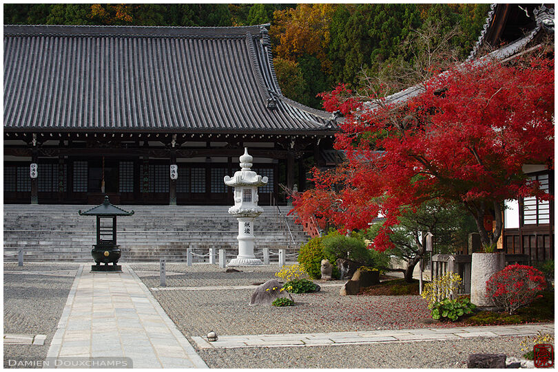 Main hall and temple grounds (Myouman-ji 妙満寺)