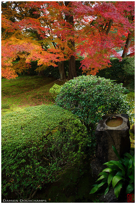 Water basin in zen garden in autumn (Entsuu-ji 円通寺)