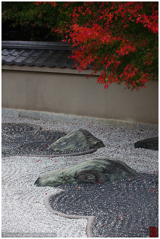 Maple tree over rock garden (Ryougin-an 龍吟庵)