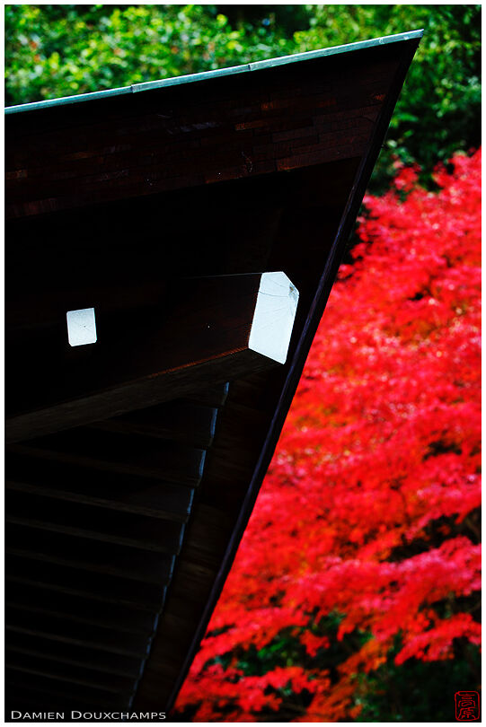Roof lines in autumn (Ryougin-an 龍吟庵)