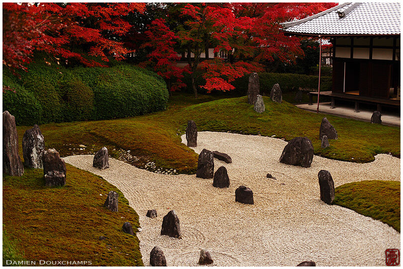 Zen garden in autumn (Komyo-in 光明院)