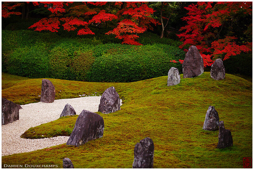 Zen garden in autumn, version 3 (Komyo-in 光明院)