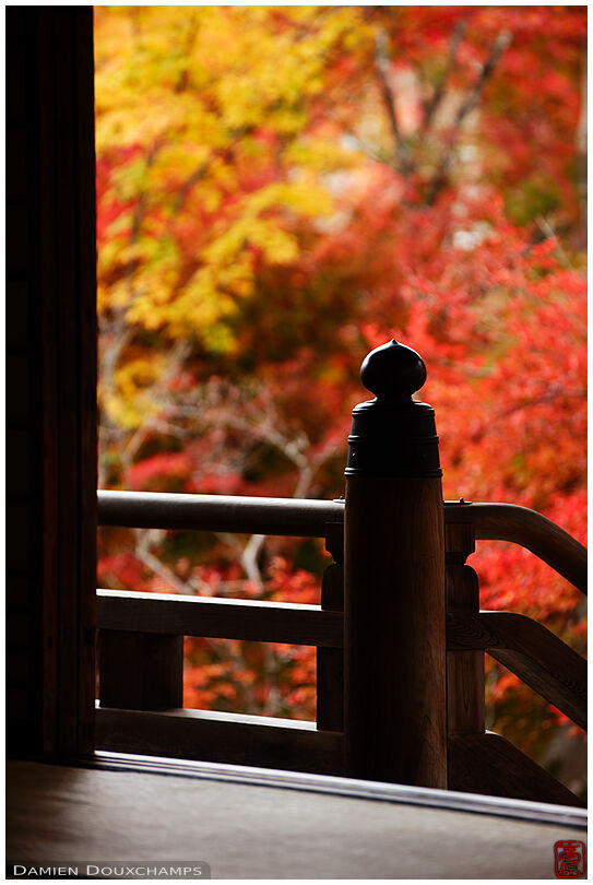 Autumn colors in Hokyo-in (宝筺院)