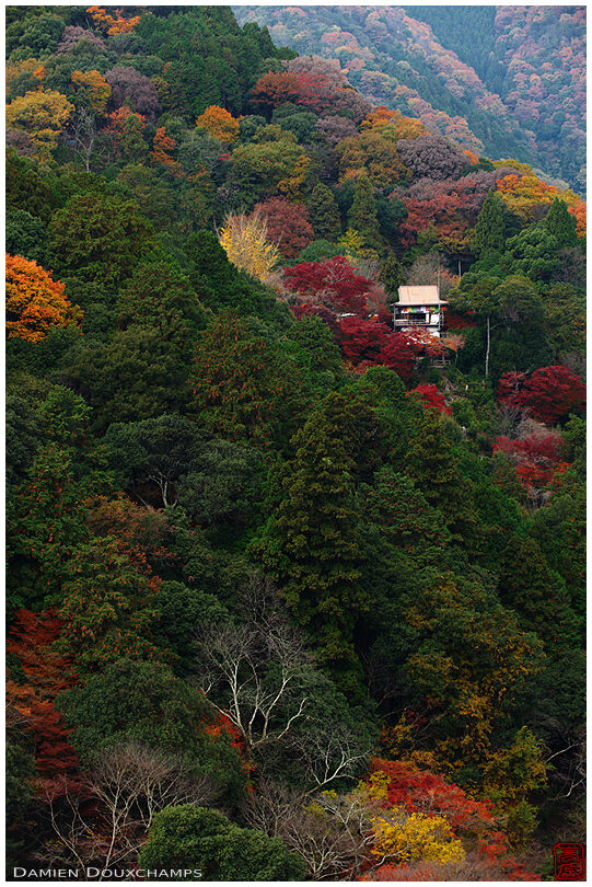 Small temple lost in Kyoto hills (Senko-ji 千光寺)