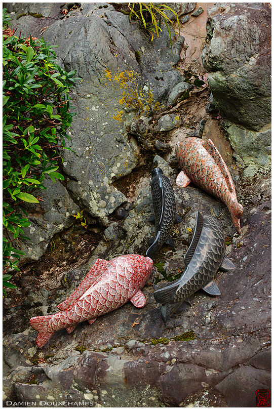 Stone fish in stone river (Matsuno-taisha 松尾大社)