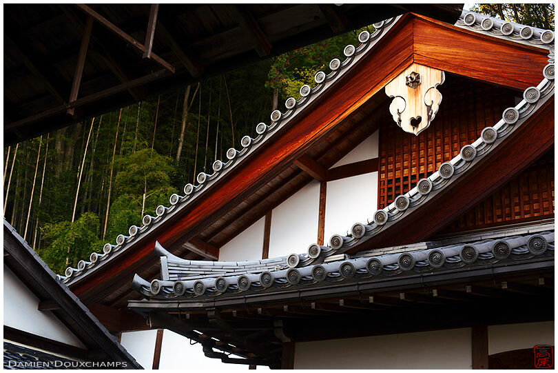 Rooflines of temple in bamboo forest (Suzumushi-dera 鈴虫寺)