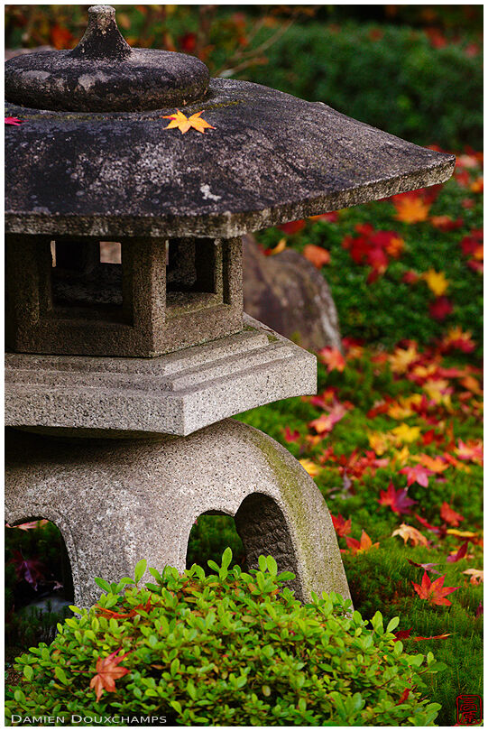 Lantern in Japanese garden (Suzumushi-dera 鈴虫寺)