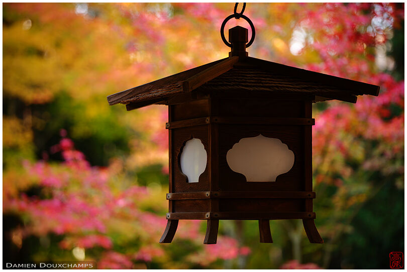Lantern and autumn colours, Koto-in temple, Kyoto, Japan