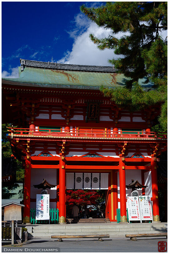 Shrine gate (Imamiya-jinja 今宮神社)