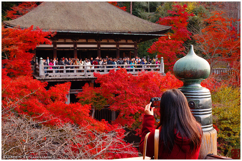 Photographing the autumn colors in Kiyomizu-dera (清水寺)