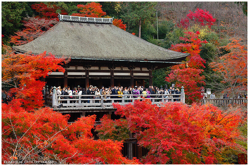 Autumn foliage around Okuno-in (奥の院) temple in Kiyomizu-dera (清水寺)