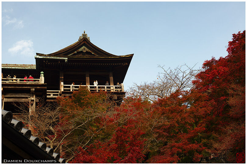 (Kiyomizu-dera 清水寺)