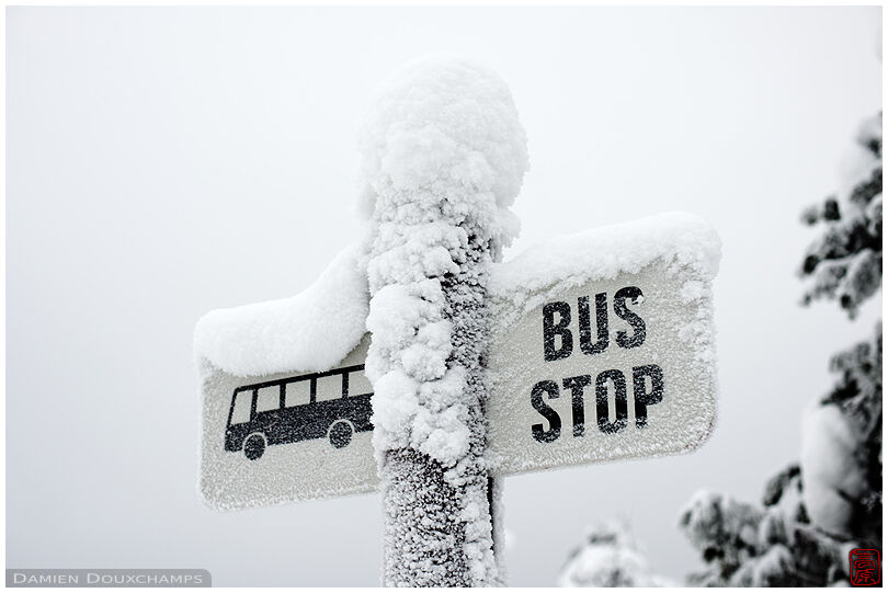 Frost-covered bus stop sign north of Rovaniemi