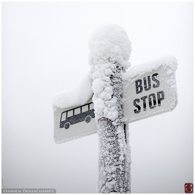 Frost-covered bus stop sign north of Rovaniemi