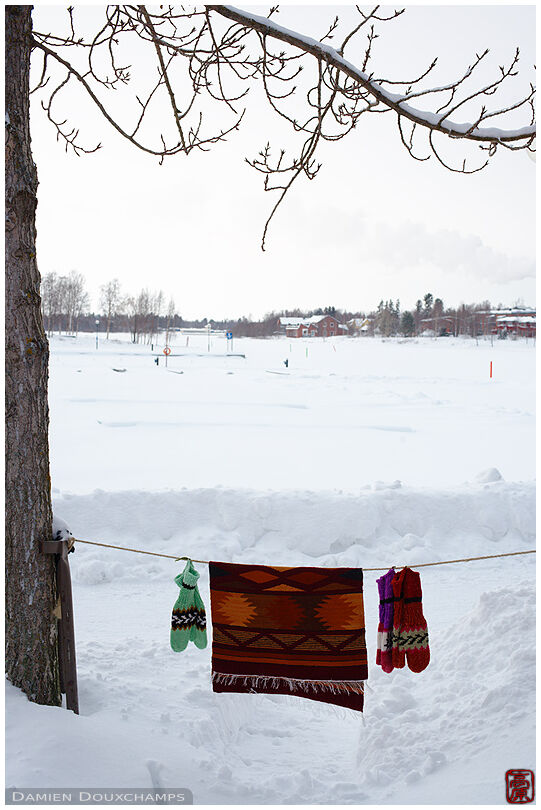 Drying gloves and carpet in snowscape, Oulu, Finland