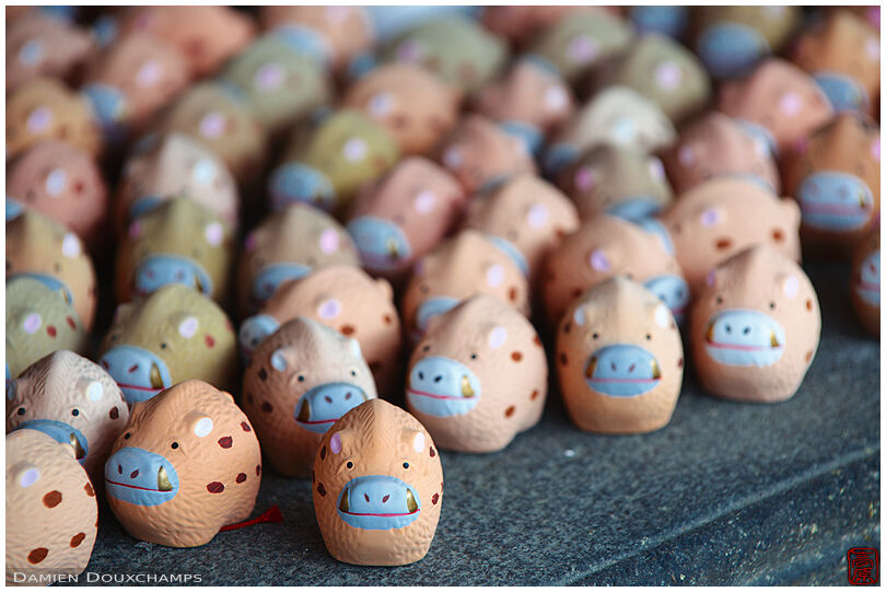 Small piglets as votive offerings in Marishisonten-do