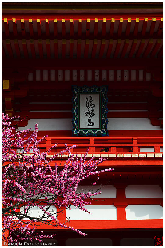 Detail of the main gate of Kiyomizu temple in spring
