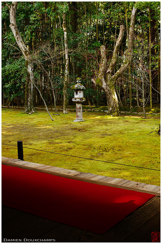 Red carpet and moss garden, Koto-in