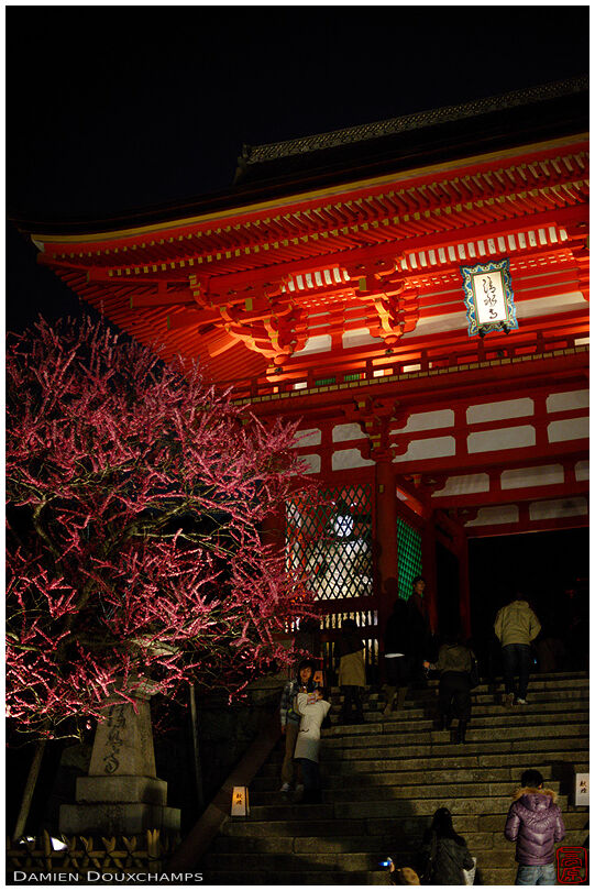 Kiyomizudera's front gate at night
