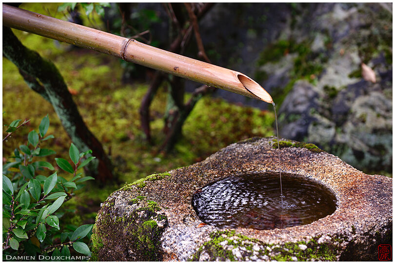 Stone water basin in zen garden, Nijo-jo castle