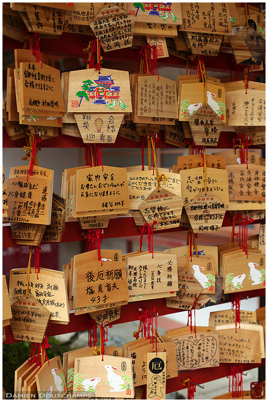 Wooden ema tablets with wishes, Iwashimizu Hachimangu