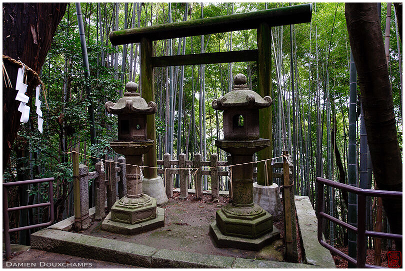 Tomb in bamboo forest around Iwashimizu Hachimangu shrine