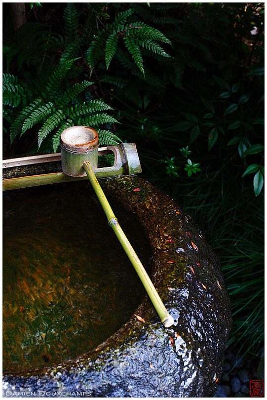 Water basin with bamboo ladle, Sanko-ji temple