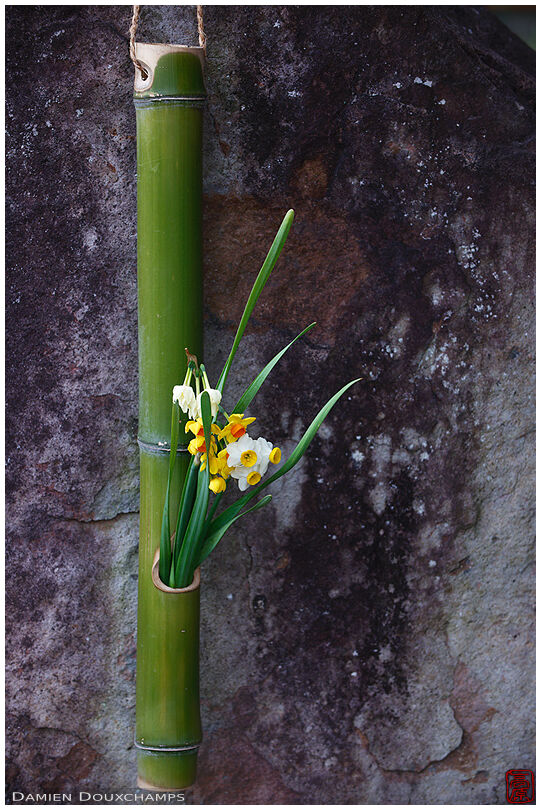 Bamboo vase with flowers, Shobo-ji temple