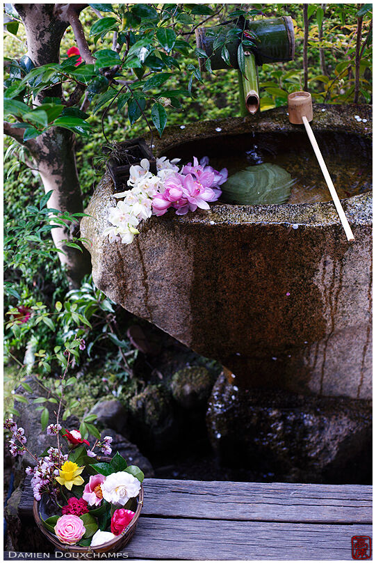 Water basin with flowers, Shobo-ji temple