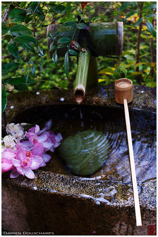 Water basin with flowers, Shobo-ji temple