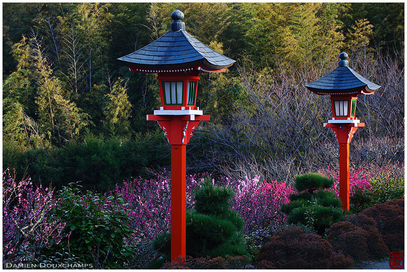 Lanterns along the road to Shobo-ji temple
