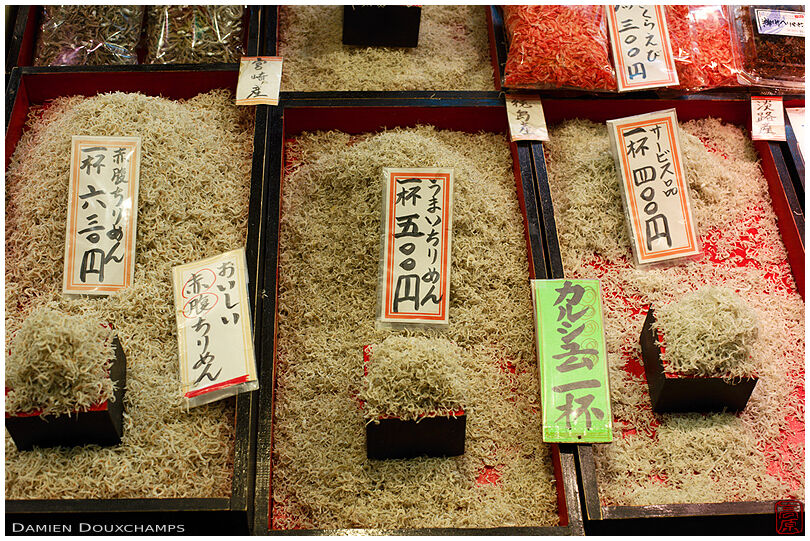 Small fish for sale, Nishiki Market