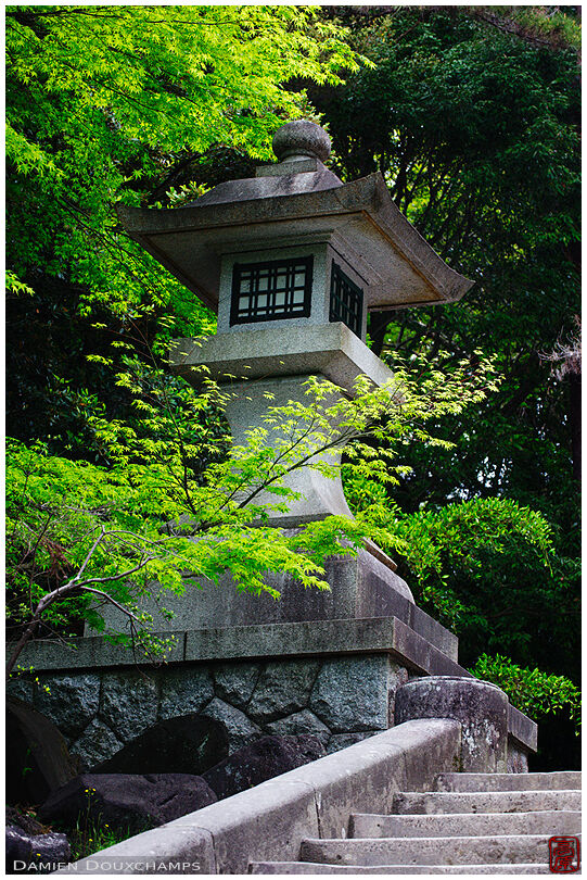 Stone lantern on the stairs leading to Kirishima-jingu