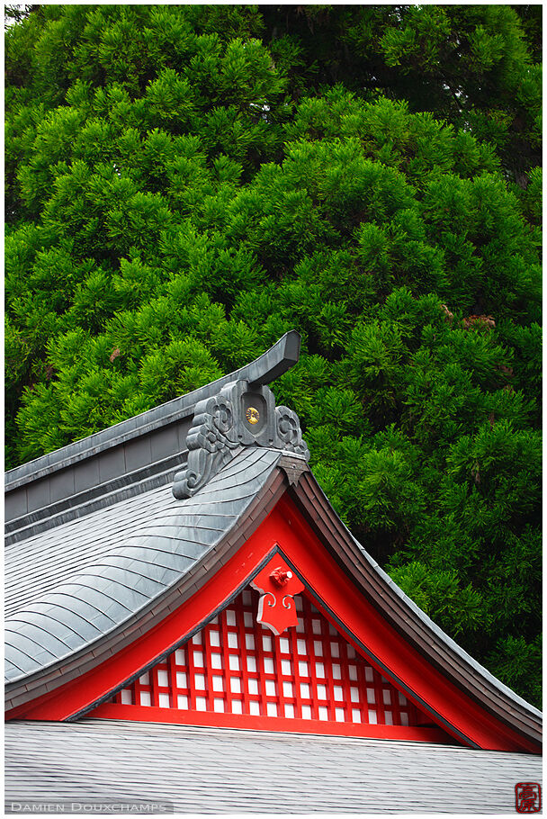 Temple roof in the forest, Kirishima-jingu