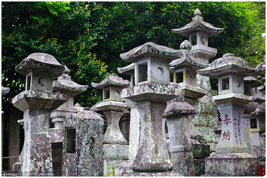 Stone lanterns, Honmyo-ji temple