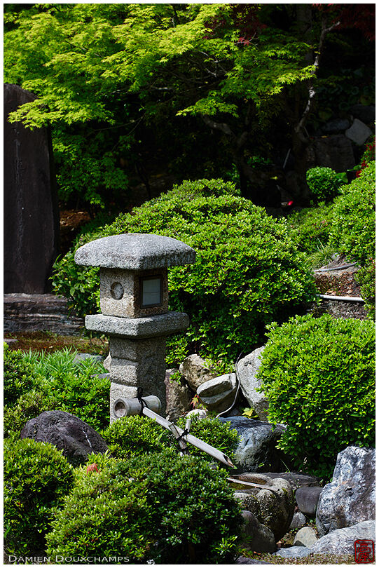 Lantern and water basin in Bukko-in temple gardens