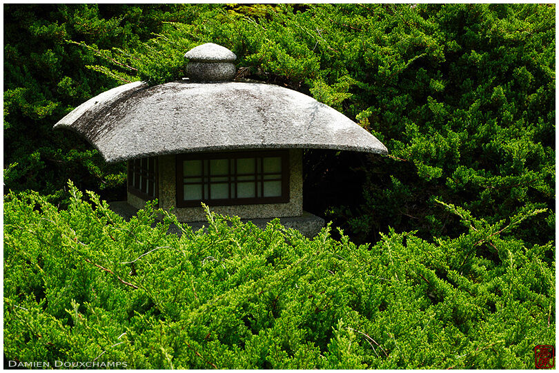 Unique type of Japanese lantern hiding in green bushes, Kaju-ji temple